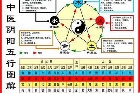 1984鼠五行|84年属鼠什么五行 84年属鼠的五行是属什么